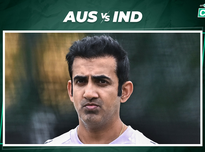 应市场需求 应市场需求